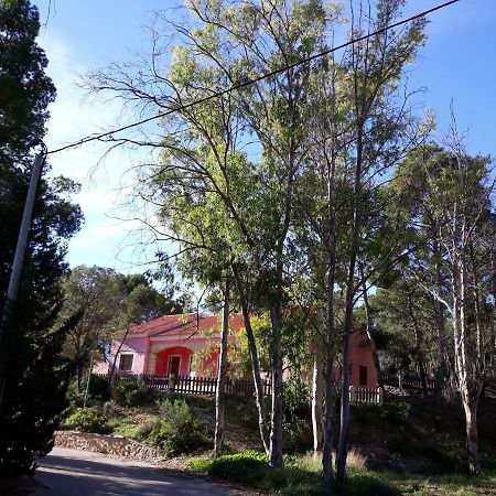 Casas Rurales "Paraje El Cajal" Ojós Exterior foto